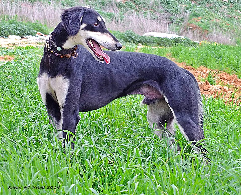 josh after treating w crystals